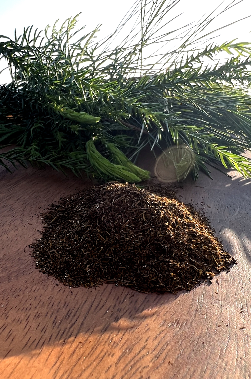 山の朝茶 100