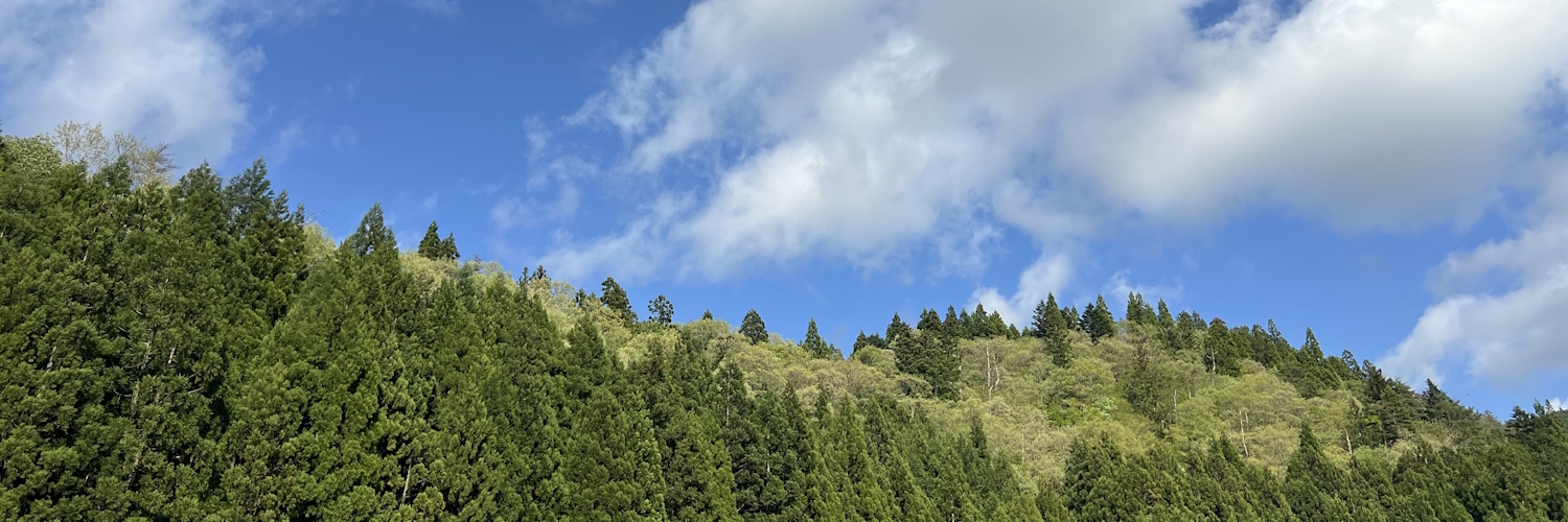 里山の風景